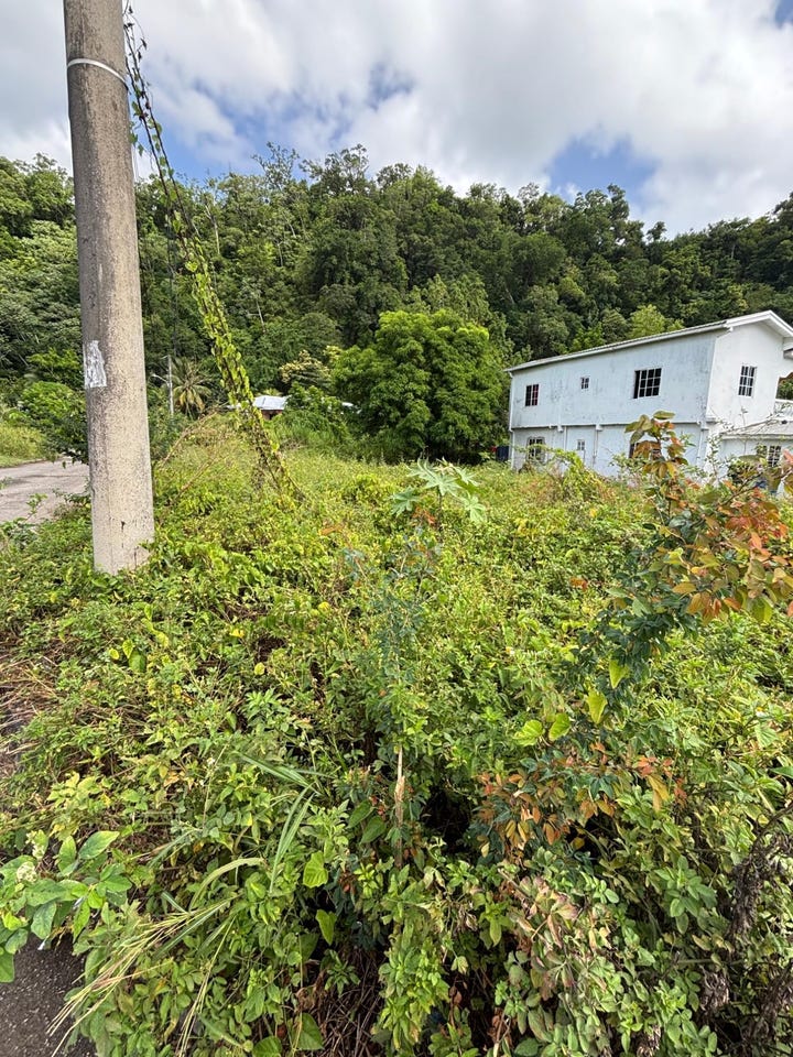75 WOODSTOCK HOUSING SCHEME, Buff Bay, Portland