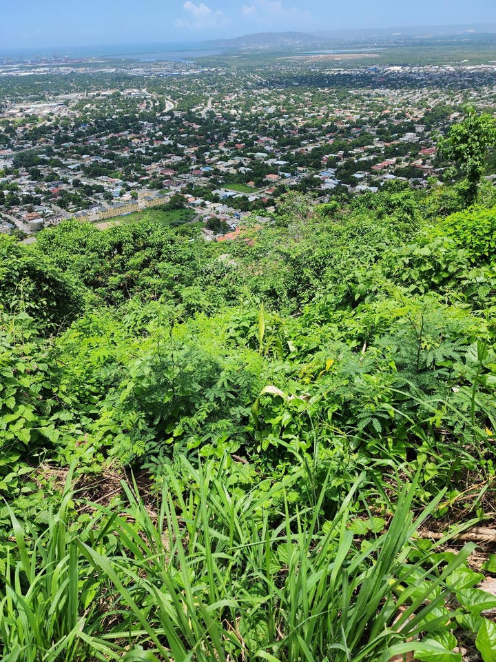 THRONE CIRCLE, QUEEN HILL