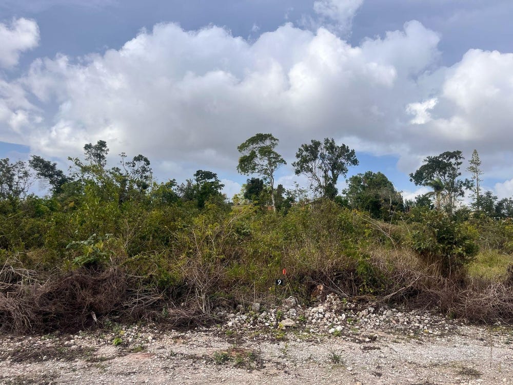 XFHV+MWV, Knockpatrick, Jamaica, Knockpatirck, Manchester Parish