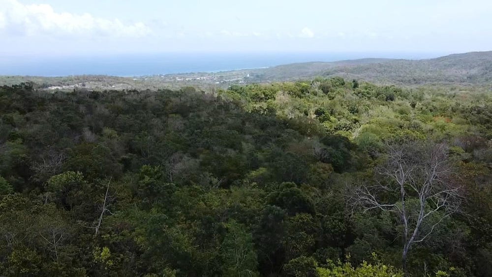 SAMUEL PROSPECT, DUNCANS