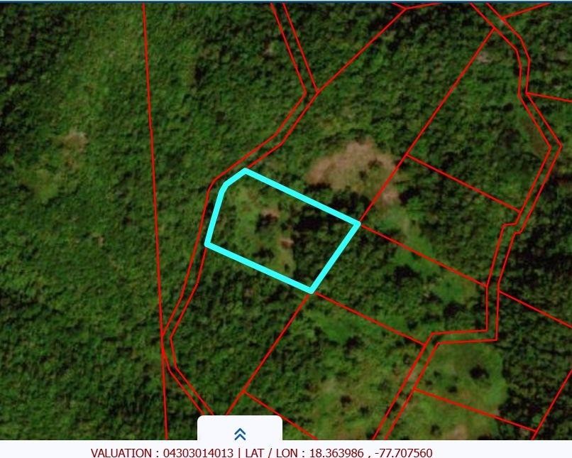 UNITY lot: 193, Bunkers Hill, Trelawny